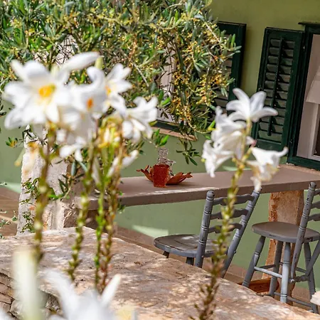 Holiday home House Komadic Raja