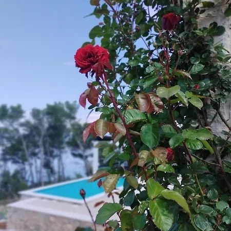 Holiday home House Komadic Raja Blato (Korcula)